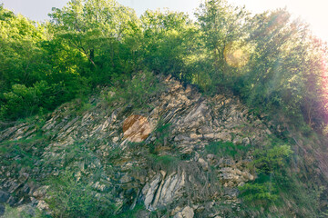 A rocky hillside with trees and grass