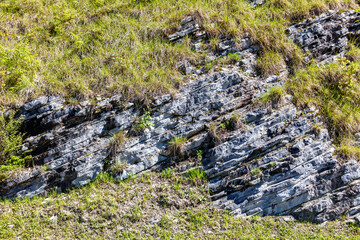 A rocky hillside with grass growing on it