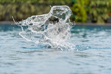 Crystalline Water Splash Frozen in a Dynamic, Sculptural Form