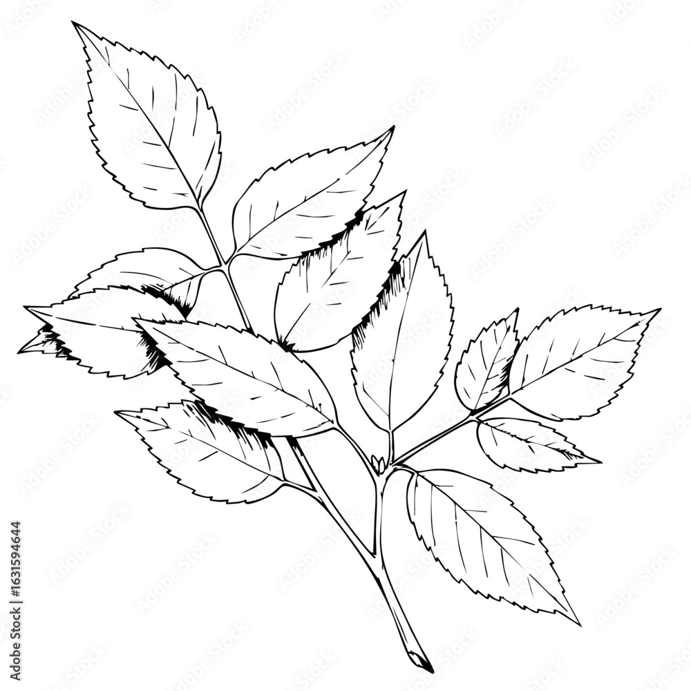 Poster image effects include monochrome drawing of leaves, creating a visually impactful effect. monochrome
