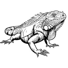 Obraz premium Large iguana in a detailed black and white drawing, showcasing its textured skin and distinctive features. This iguana stands out with its spiky crest and powerful build.