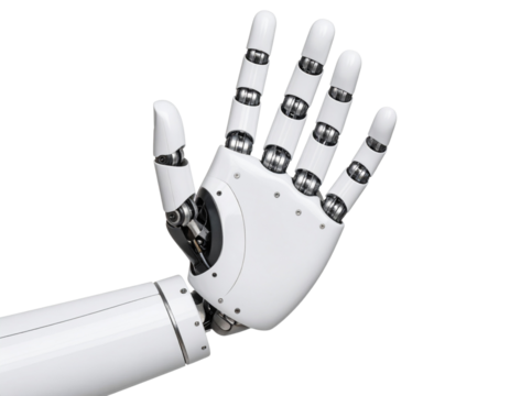 hand holding a roller skates