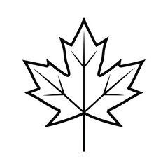 Vector art of maple leaf isolated