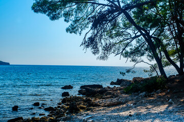 The Mediterranean coast in the area of the ancient city of Phaselis in Lycia in modern Turkey