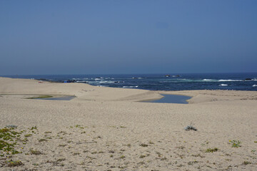 Sandy Shoreline Meets the Blue Sea