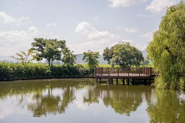 호수 공원 풍경