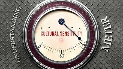 Cultural Sensitivity and Understanding that is hitting a full scale, showing a very high level of cultural sensitivity, overload of it, too much of it. Maximum value, off the charts.  ,3d illustration