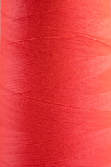 Coil of pomegranate flower color
