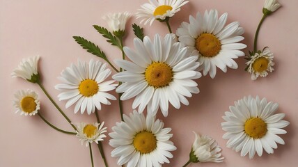 Fototapeta premium Clean and Elegant Spring-Summer Flat Lay - 4