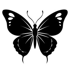 butterfly silhouette vector
