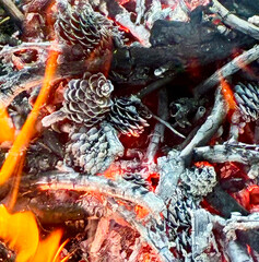 Burnt pine cones on beautiful fiery background.