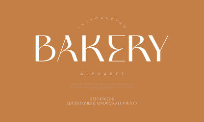 Unique serif font with soft curves and classic elegance, perfect for fashion branding and editorial headlines