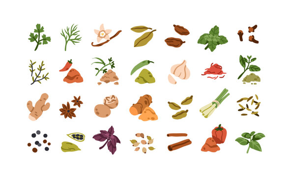 Herbs and spices set. Natural seasonings, condiments and aromatic culinary ingredients, flavorings. Vanilla, paprika, chili and cinnamon icons. Flat vector illustration isolated on white background