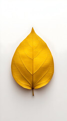 Golden Leaf Illustration: Autumnal Still Life