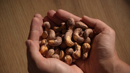 Hands holding raw cashew nuts above wooden table