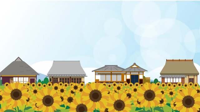 日本の夏のひまわり畑