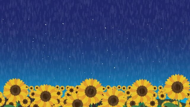 日本の夏のひまわり畑