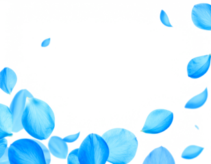 blue petals flying floating clipping path isolated on white or transparent background