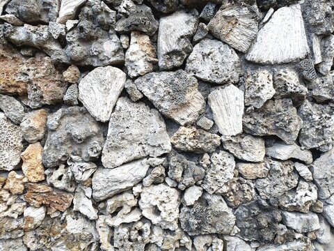 Broken coral pieces set in rough texture mosaic pattern abstract natural background texture