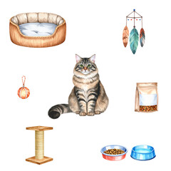 Cat with accessories. Seamless pattern, transparent background. Watercolor illustration.