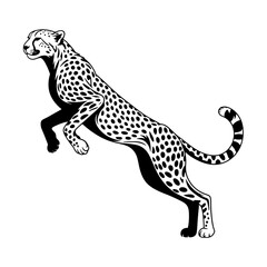 Fototapeta premium Monochrome vector illustration of a leaping cheetah. Black and white graphic of a spotted cheetah in mid-air jump, isolated on white background. Design element for wildlife, speed, and athleticism the