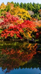 Autumn leaves reflecting in pond
