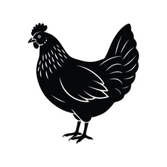 Vector art of black chicken silhouette isolated on white background, a farm animal design