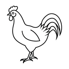 Vector art of chicken line art isolated on white background for farm and poultry themes