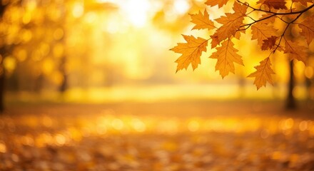 Golden Oak Leaves Bask in Autumn's Glow Against a Dreamy Bokeh Forest