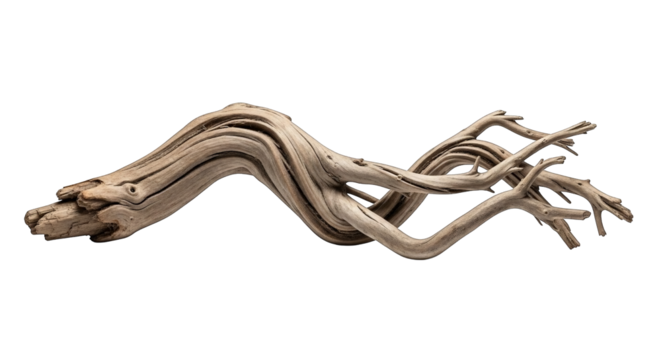 Isolated, eroded driftwood branches with smooth, sinuous shapes. generative AI