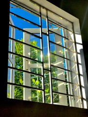 Morning sunlight pours through an open window, casting bright shadows and revealing lush green...