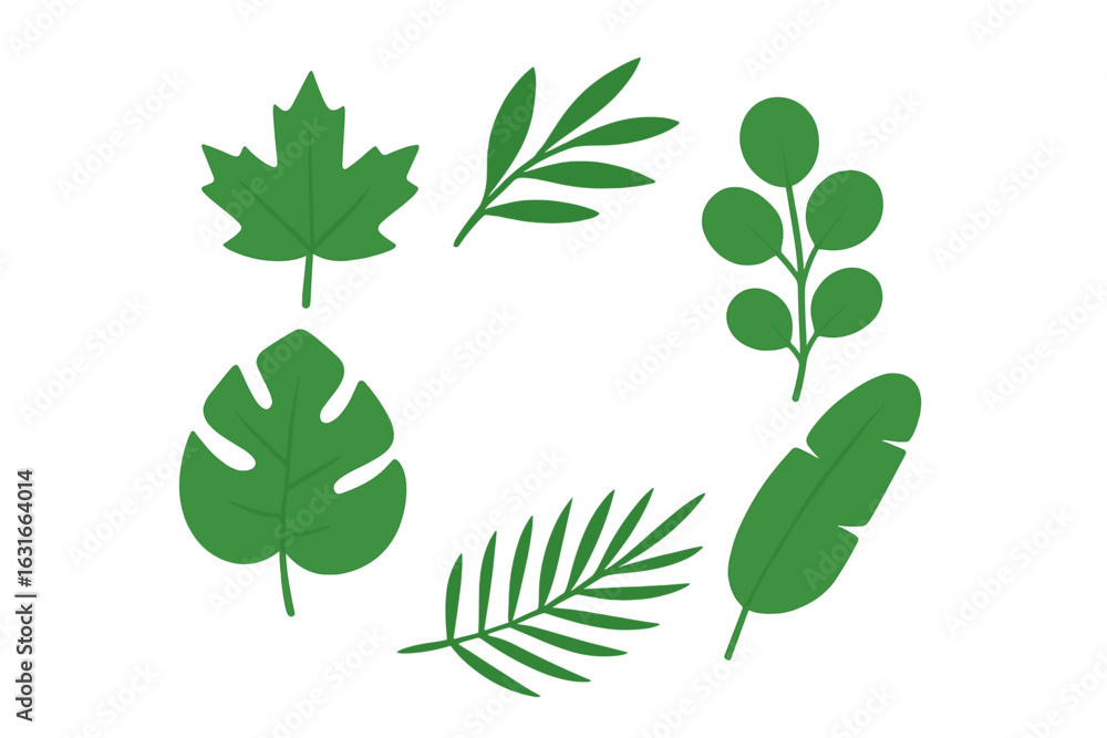 Poster green leaves arranged in a circular pattern highlighting various shapes and sizes