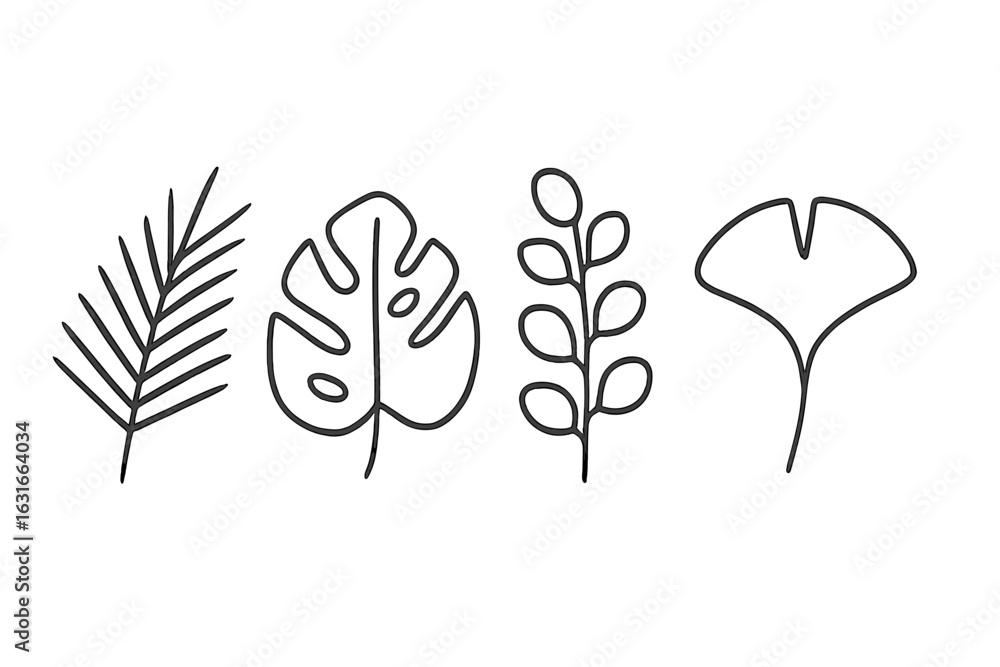 Poster various botanical leaf sketches showcasing different shapes and styles in a minimalist design for ar