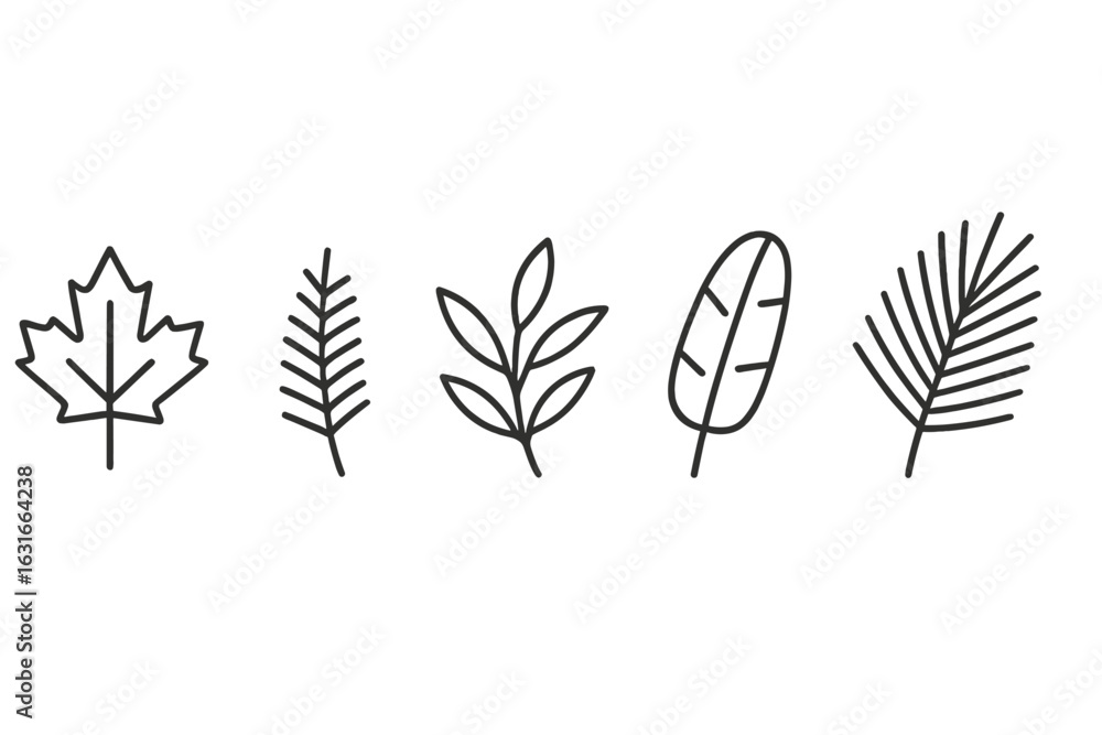 Poster artistic arrangement of five different leaf outlines showcasing various shapes and patterns