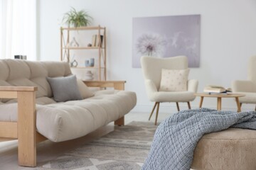 Stylish sofa and other furniture in living room. Interior design