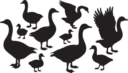 Obraz premium Geese family silhouette collection. A vector set of wild goose, gander, and gosling icons in various poses, isolated for design.