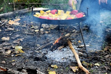 Cooking vegetables on the fire in the forest in autumn. Selective focus