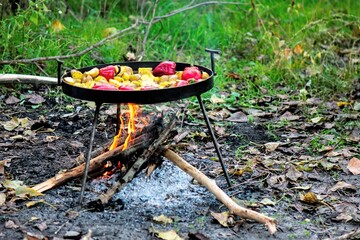 Cooking vegetables on the fire in the forest in autumn. Selective focus