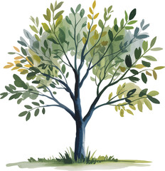 Watercolor illustration of a single tree with a navy blue trunk and soft green foliage on a grassy patch against a white background

