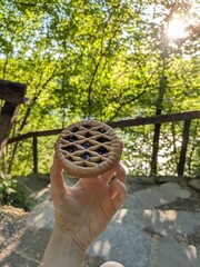 A person holding a delicious pie outdoors, surrounded by lush greenery and sunlight, capturing a...