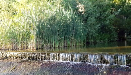 Piccola cascata con salto d'acqua tra canneti e vegetazione ripariale in ambiente fluviale naturale con terrazzamenti di pietra