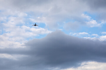 Airplane silhouette flying through blue sky with white fluffy clouds