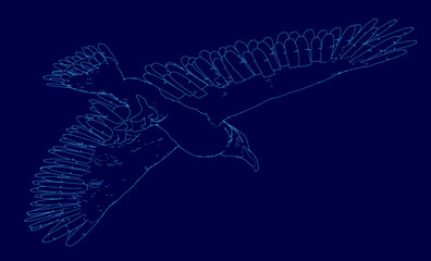 A majestic eagle with outstretched wings soars gracefully against a deep blue sky, showcasing its powerful silhouette. The bird's feathers display subtle blue hues.