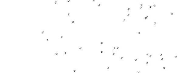 Stars - Holiday golden decoration, glitter frame isolated -