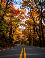 Obraz premium Autumn road through colorful trees