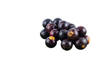 A fresh pile of ripe dark purple Jabuticaba berries with glossy skin and yellow calyxes.