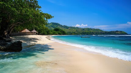 Obraz premium Pristine beach with turquoise water and lush foliage.