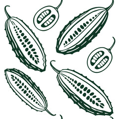 Seamless pattern of bitter melon gourd vegetable illustration isolated on white background