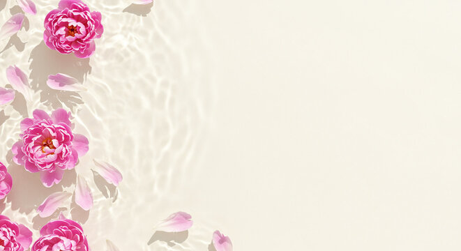 ピンクの牡丹と花びらのベージュ背景 - ウェディングや女性向け高級ブランドに最適な上品フローラル