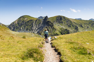 Obraz premium trekking with a dog in hogh mountains